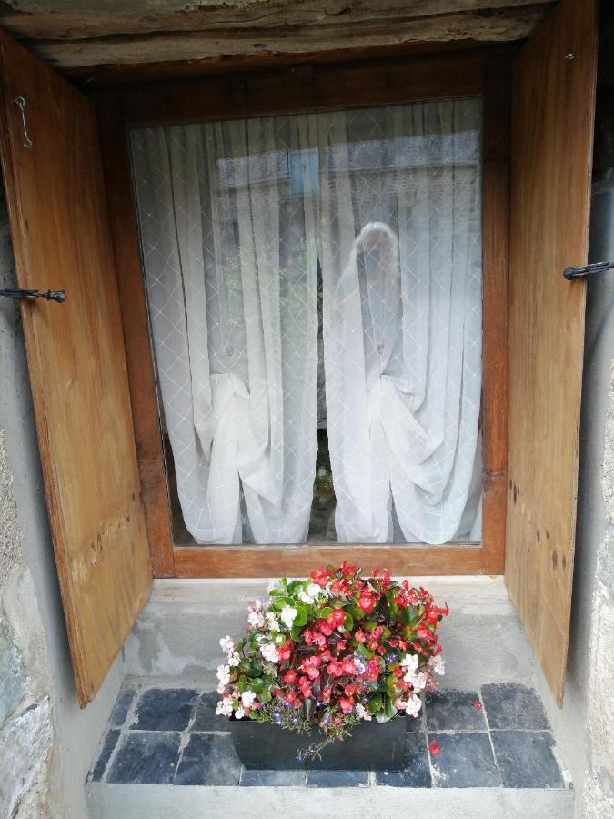 Le Petit Chateau, Matisse Noyal-Pontivy Ngoại thất bức ảnh