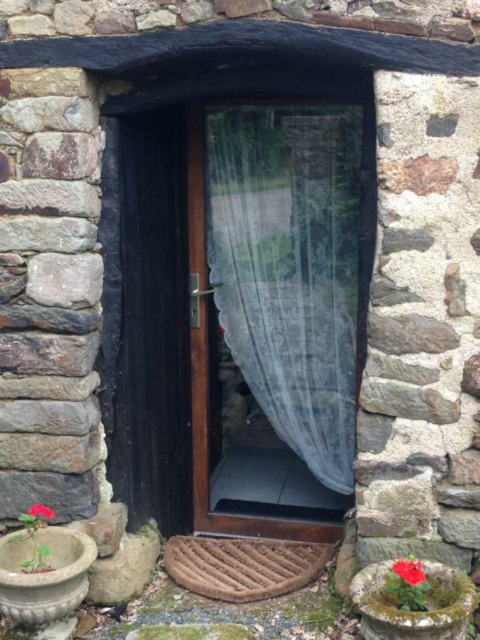 Le Petit Chateau, Matisse Noyal-Pontivy Ngoại thất bức ảnh